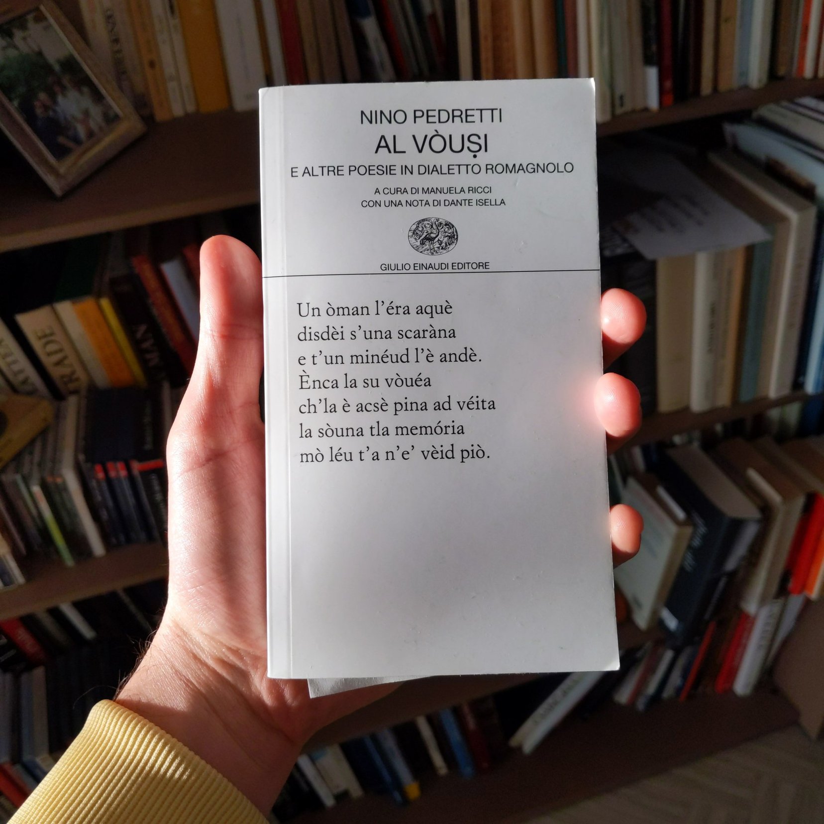 Portrait of a man with brown hair and glasses on a flat gray background.