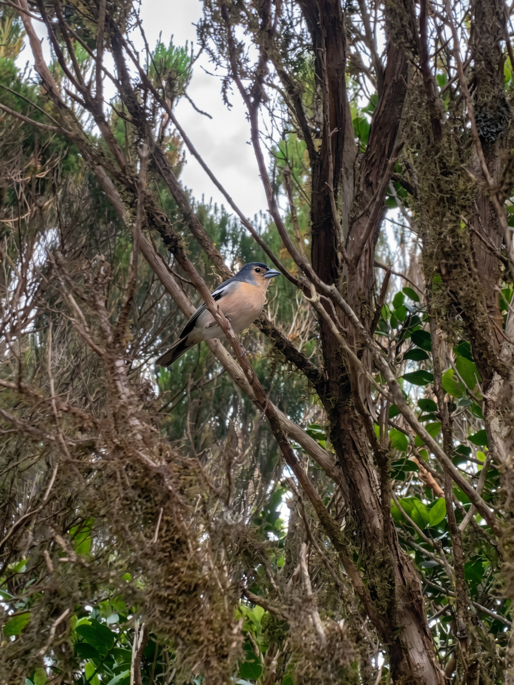 Portrait of a man with brown hair and glasses on a flat gray background.