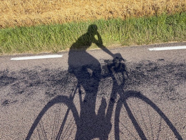 Portrait of a man with brown hair and glasses on a flat gray background.