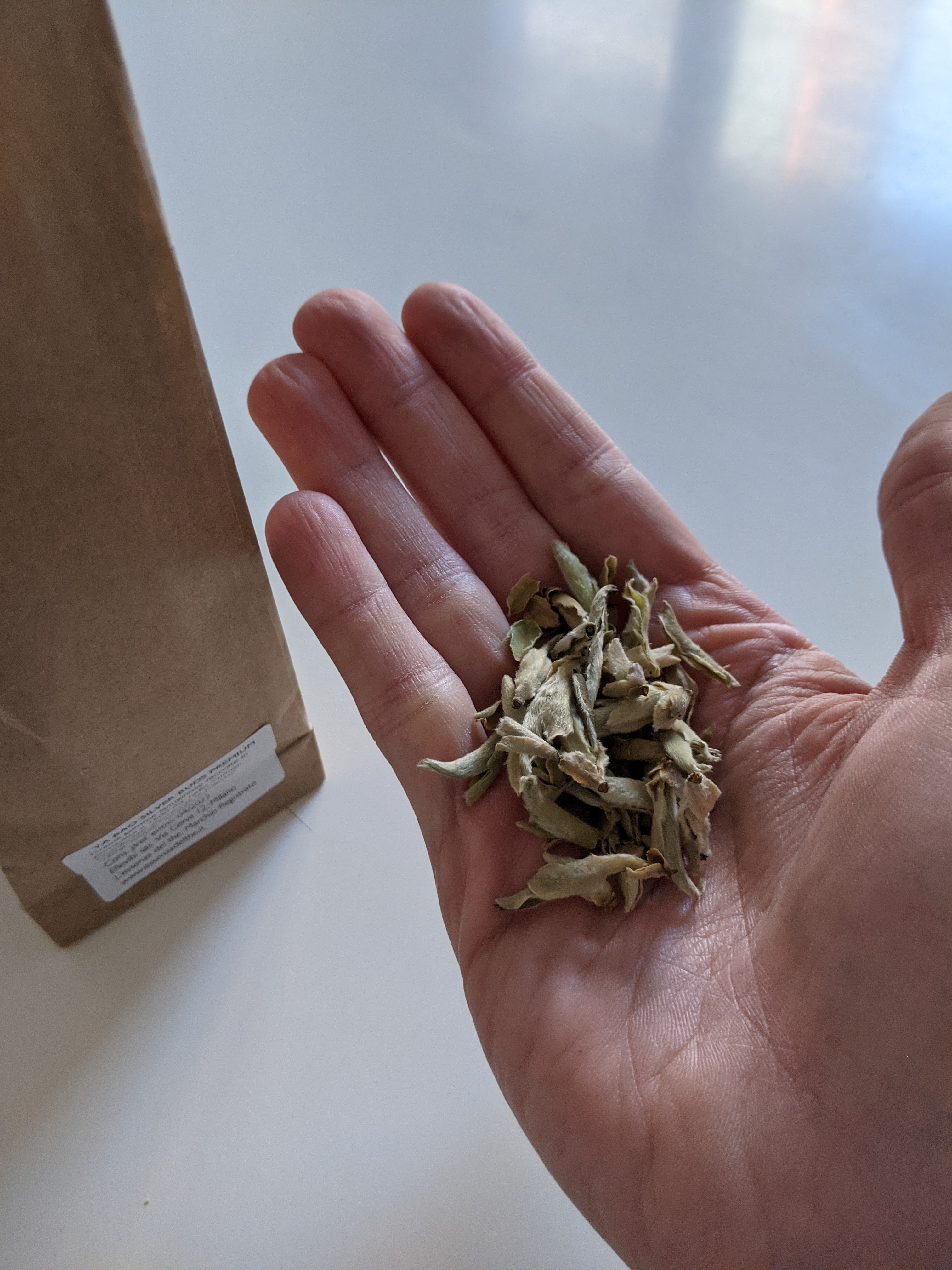 Portrait of a man with brown hair and glasses on a flat gray background.