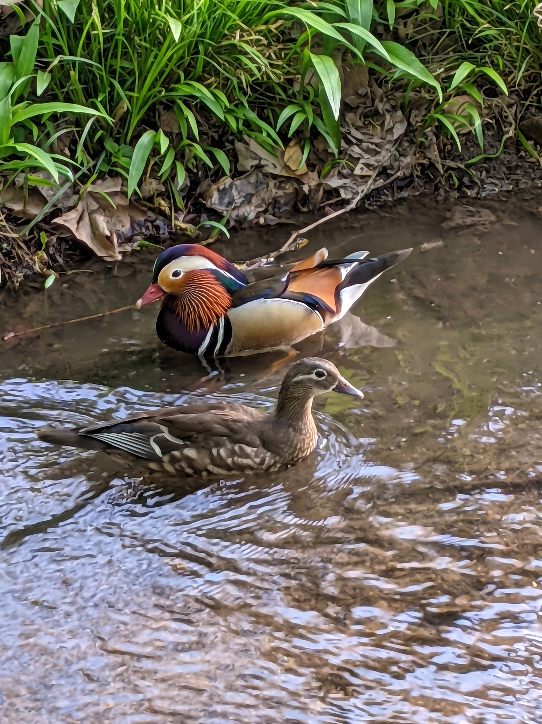 Portrait of a man with brown hair and glasses on a flat gray background.